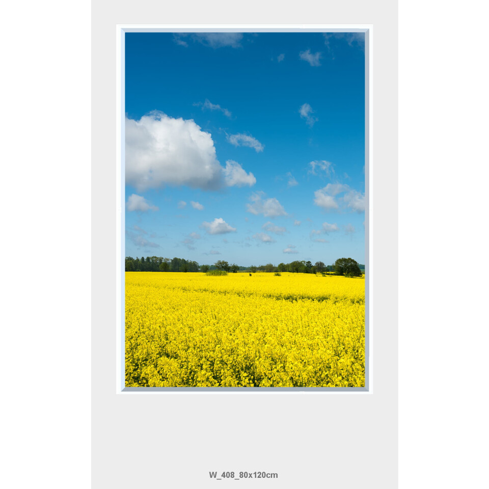 Väggfönster Natur LED 120x80cm