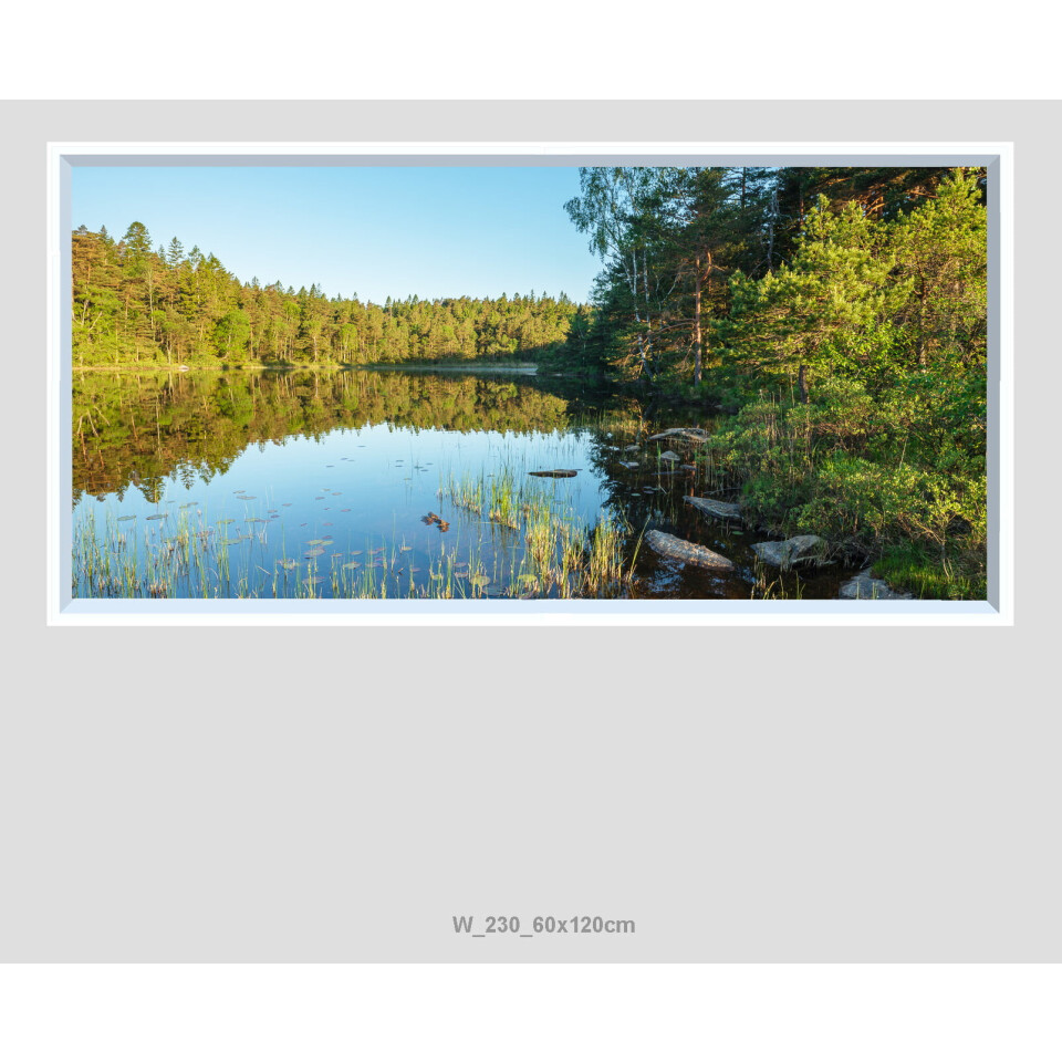 Väggfönster Natur LED 60x120cm