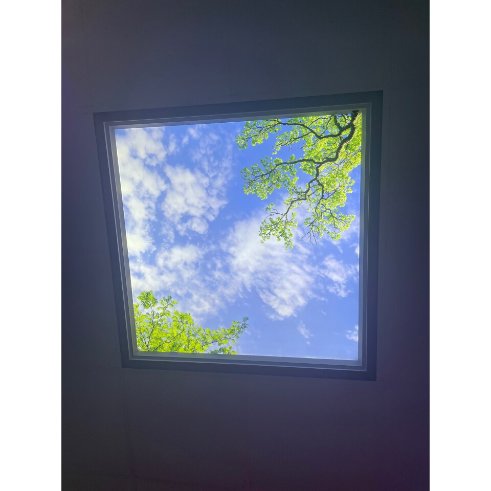Dagsljus Takfönster Natur LED 60x60cm