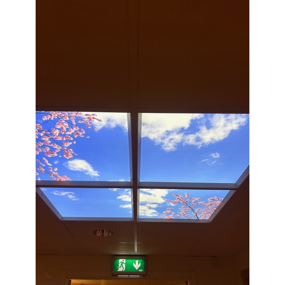 Dagsljus Takfönster Natur LED 60x60cm