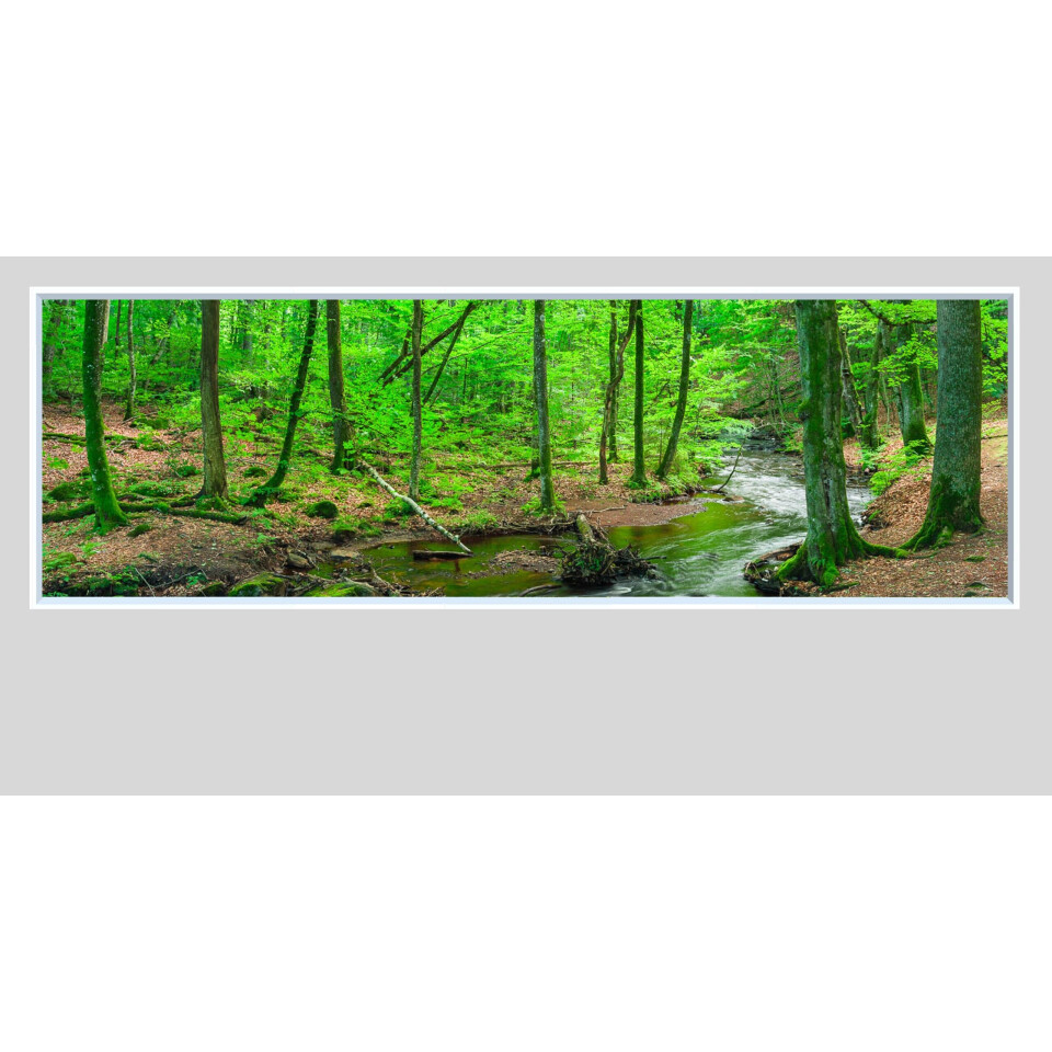 Väggfönster Natur LED 80x150cm