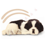 Perfectpetzzz - Sovande hundvalpar