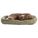 Perfectpetzzz - Sovande hund - Brun Labrador
