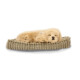 Perfectpetzzz - Sovande hund - retriever
