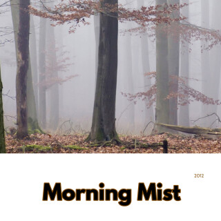 Morning Mist