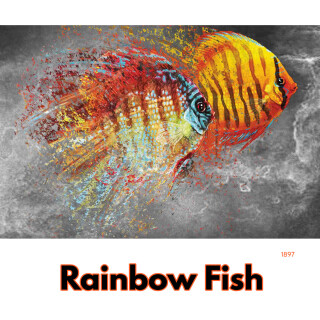 Rainbow Fish