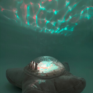 Tranquil Zen Lotus 