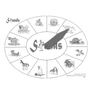 Sounds Around - Communication Sensory Toy