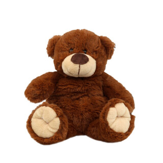 Warm Hugs Bear