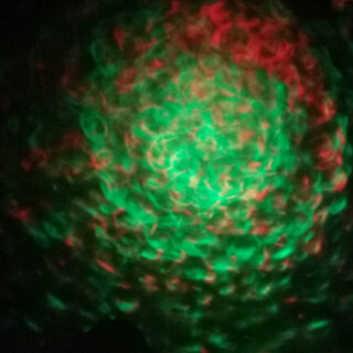 Water Effect Projector