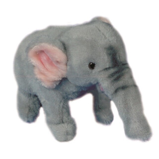 Baby Elephant - Unadapted