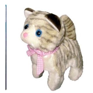 Cat Reward - LIMITED SUPPLY