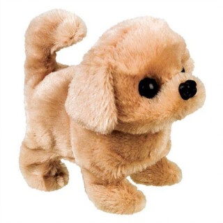 Dog Reward - LIMITED SUPPLY