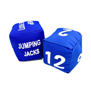 Fitness Dice - Pair