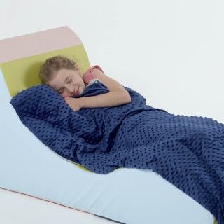 Weighted Blanket and Minky Dot Cover