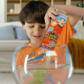 Crackle Play Colors - LIMITED SUPPLY