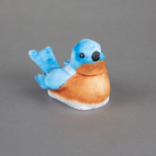Bluebird - Walker Squarker    