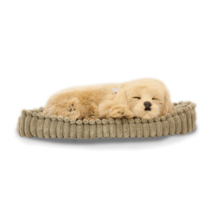 Perfectpetzzz - Sovande hund - retriever