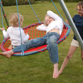 Nest Swing