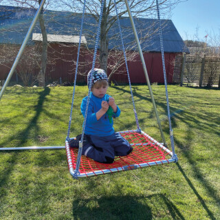 Platform Swings