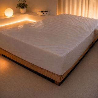 Waterbed with Platform
