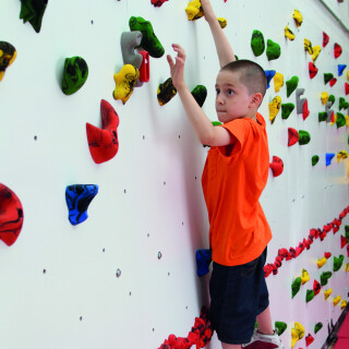 Adaptive Climbing Wall - 20' Wide  
