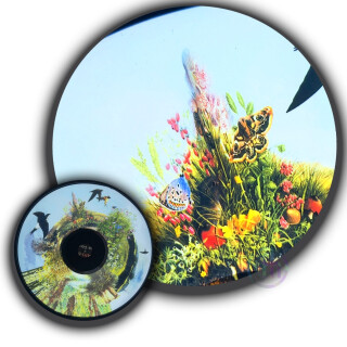Projector Wheel, Walk in the Country