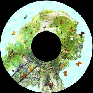 6 Inch Projector Wheel - British Butterflies Scene