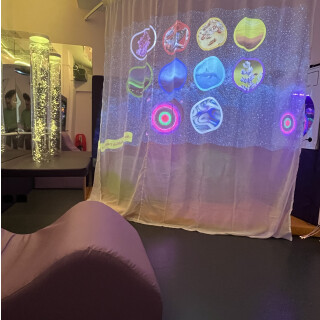 Projection Curtain