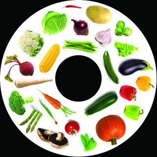 SNAP Projector Wheels-Vegetables - LIMITED SUPPLY