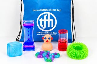 Quiet Fidget & Fun Backpack