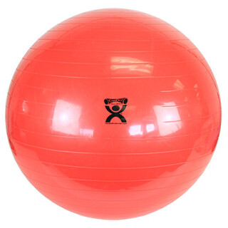 Therapy Ball 