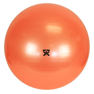 Therapy Ball  