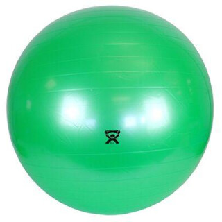 Therapy Ball 