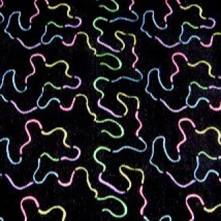Space Maze UV Area Rugs - 6' x 6' - LIMITED SUPPLY