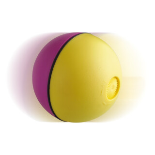 Wacky Motorised Ball