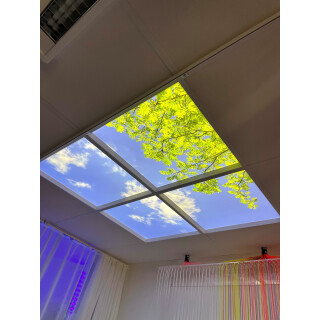Dagsljus Takfönster Natur LED 60x60cm