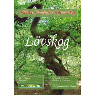 DVD bildspel - Lövskog
