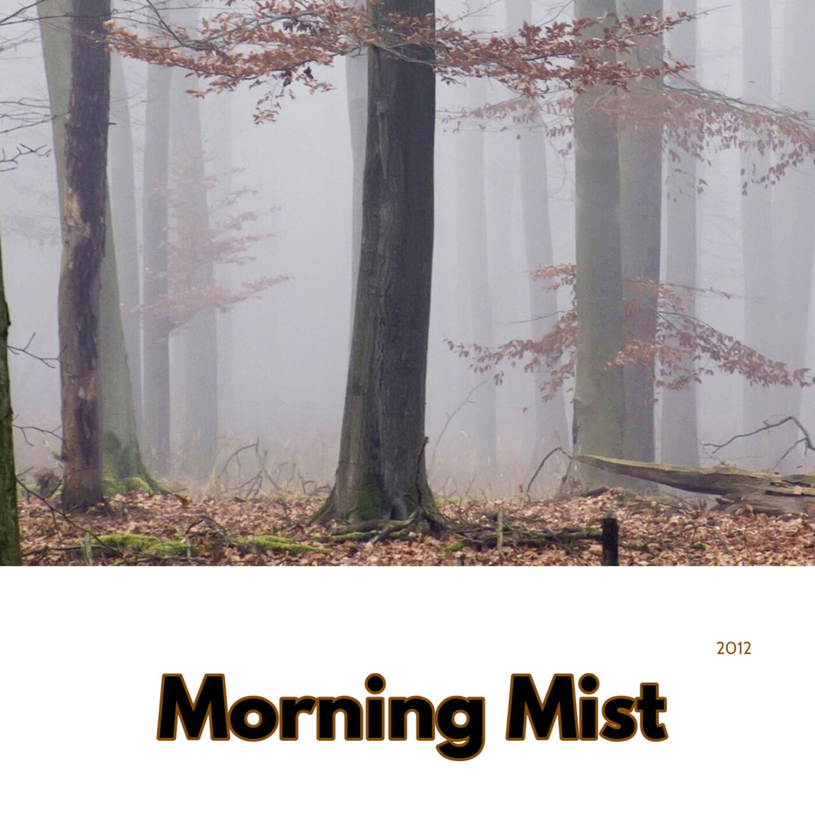 Morning Mist