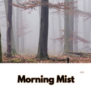 Morning Mist