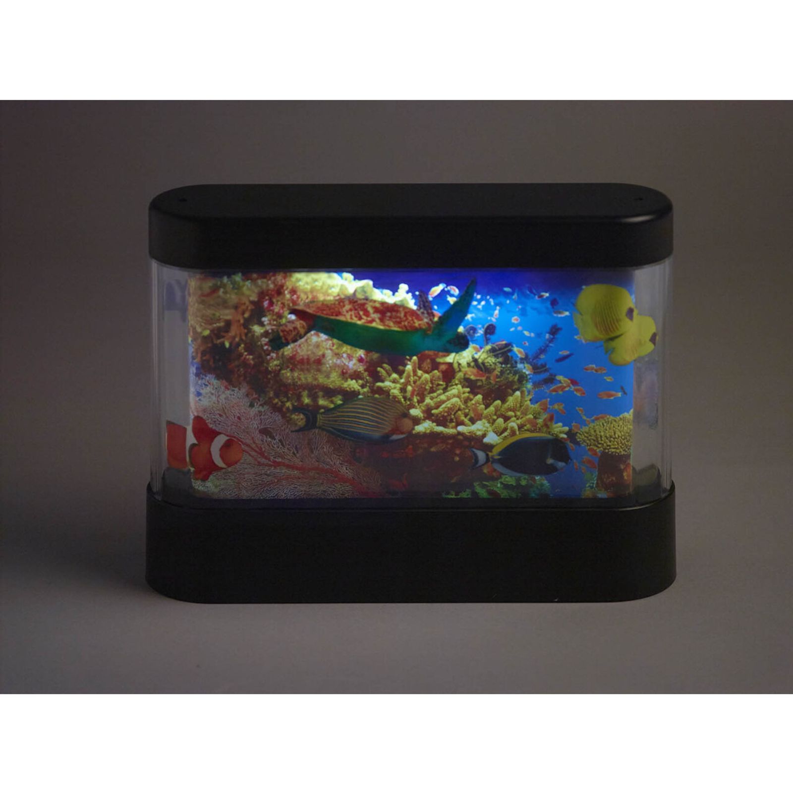 Interactive Aquari-Round - Switch Compatible