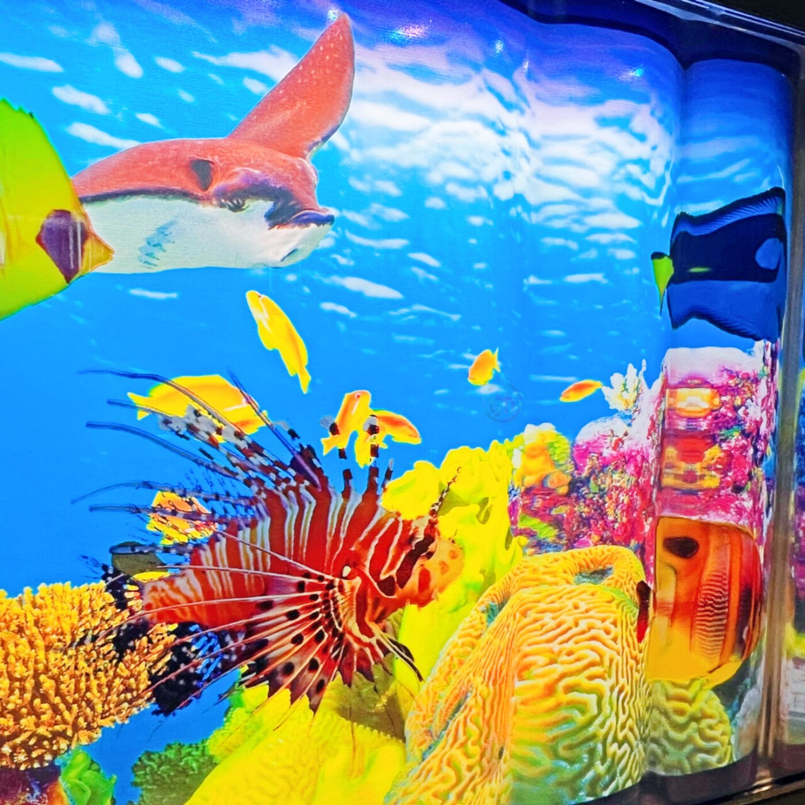 Aquari Round - Sensory Aquarium - ON BACKORDER