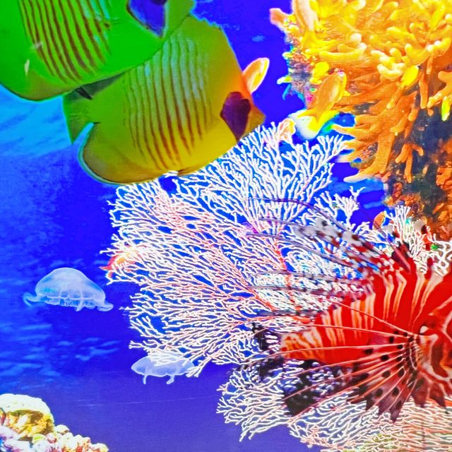Aquari Round - Sensory Aquarium 