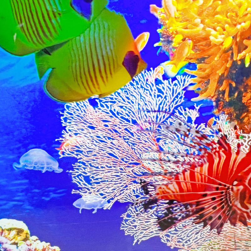 Aquari Round - Sensory Aquarium 