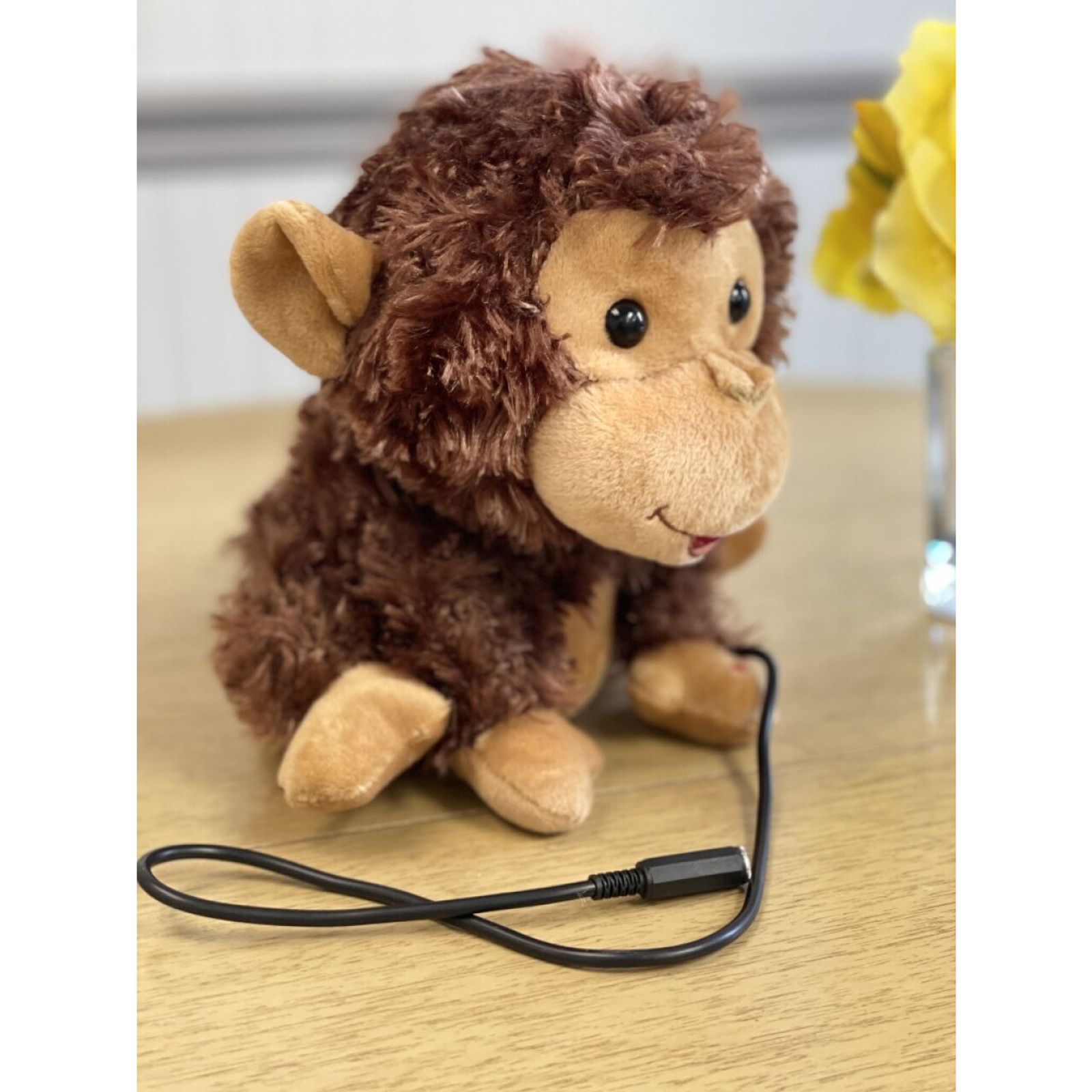 Coco the Monkey - Switch Adapted Toy 