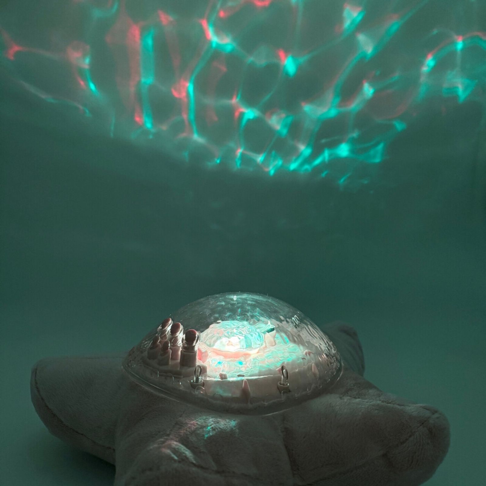 Tranquil Zen Lotus 