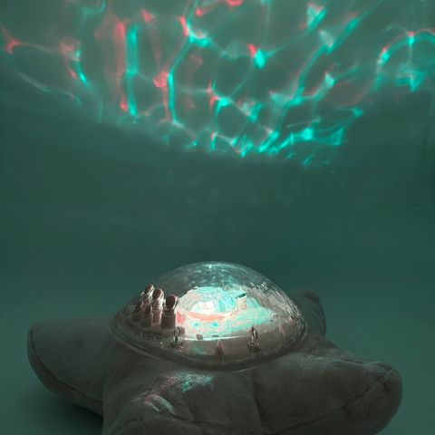 Tranquil Zen Lotus 