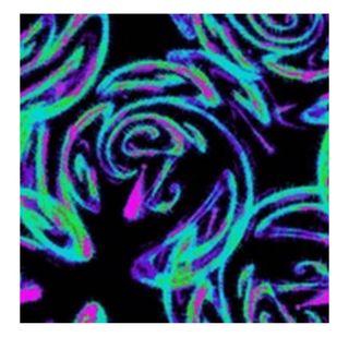 Hawk Friction UV Carpet