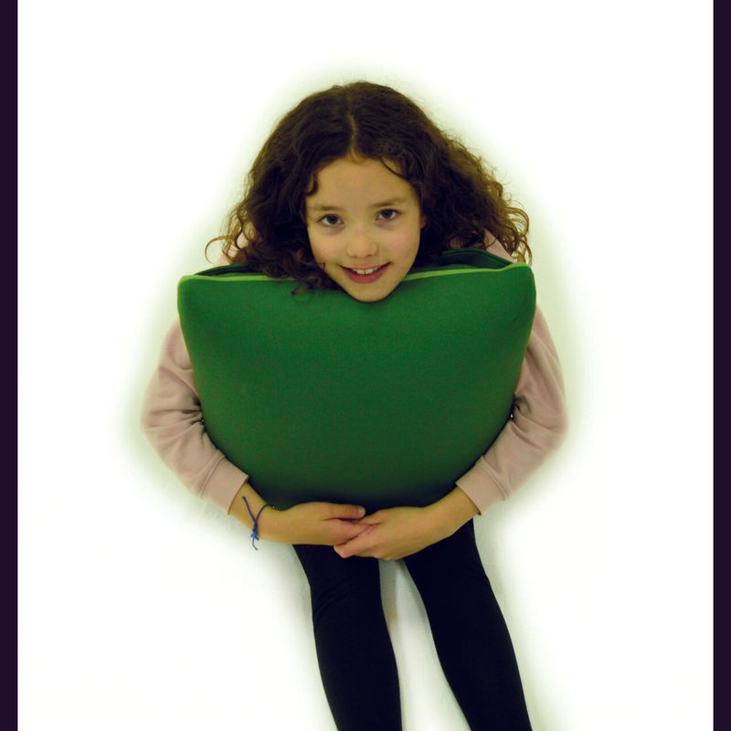 Massage Cushion