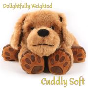 Theo the Therapy Dog